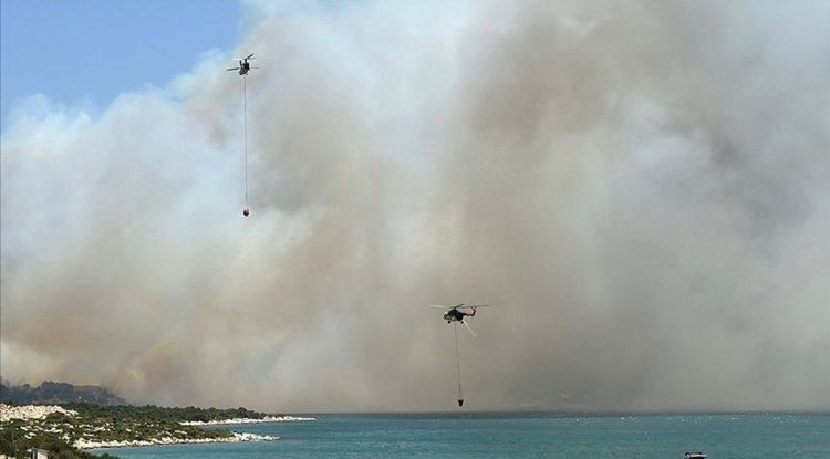 İzmir'de çıkan orman yangına müdahale ediliyor