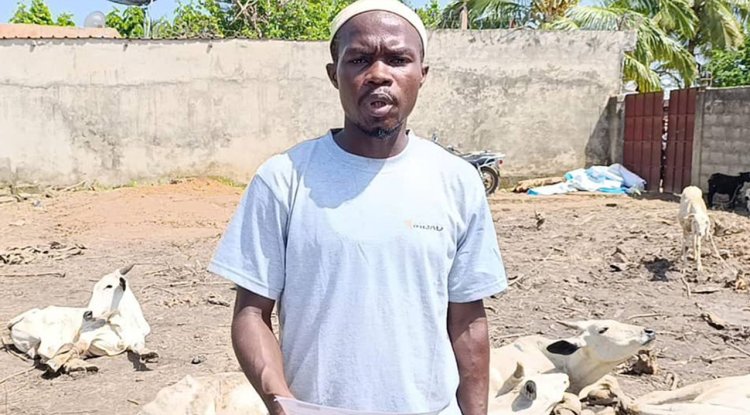 Türkiye'nin yardımseverliğinden etkilenen Togolu, TDV gönüllüsü oldu