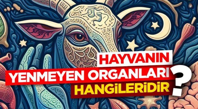 Hayvanın yenmeyen organları hangileridir?