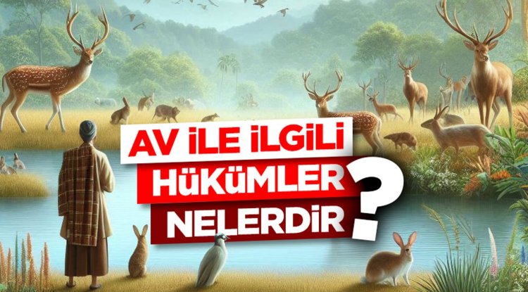 Av ile ilgili hükümler nelerdir?