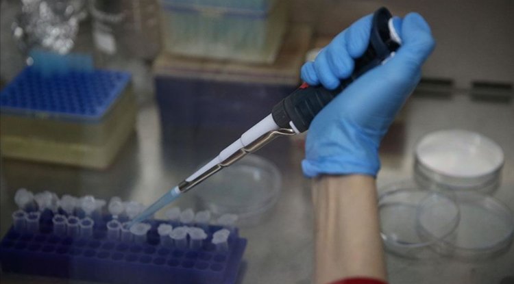 KKKA aşısının klinik öncesi çalışmalarının eylüle kadar bitirilmesi planlanıyor