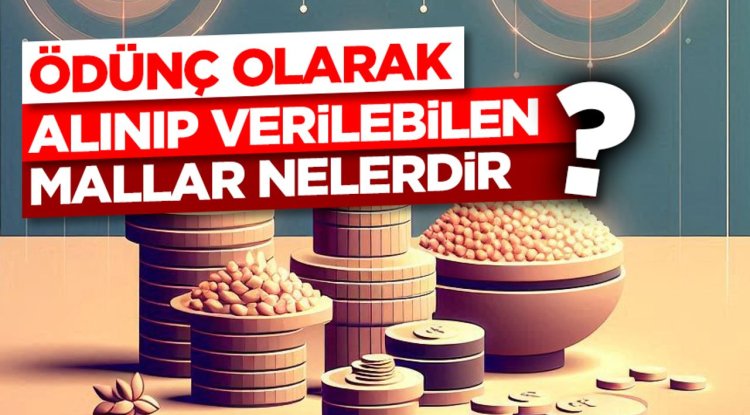Ödünç olarak alınıp verilebilen mallar nelerdir?