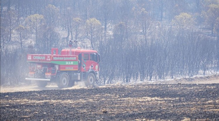 Tekirdağ'da çıkan orman yangınına havadan ve karadan müdahale ediliyor