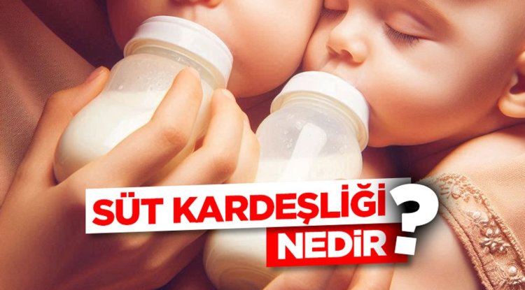 Süt Kardeşliği Nedir?