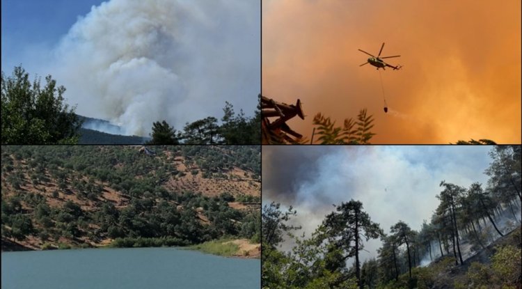 Türkiye genelinde 47 ilde ormanlara giriş yasaklandı