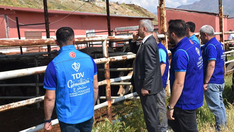 TDV, Van'da 6 bin 825 hisse kurbanlığın kesimine başladı