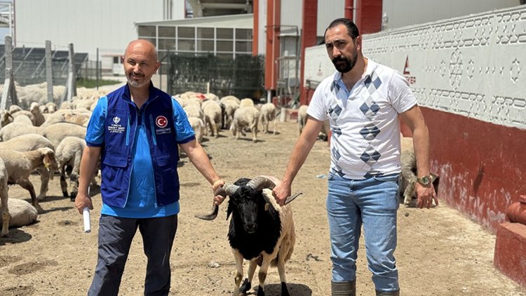 Türkiye Diyanet Vakfı, Konya'da 4 bin 25 kurban hissesinin etini ihtiyaç sahiplerine ulaştıracak