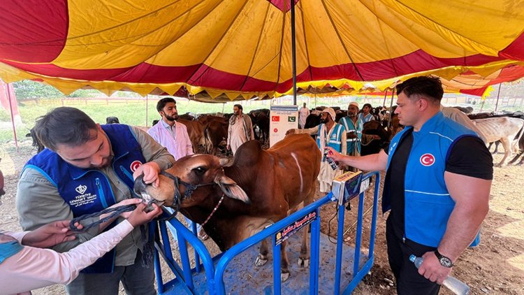 Milli güreşçi Rıza Kayaalp, TDV'nin Pakistan'daki kurban organizasyonuna katıldı