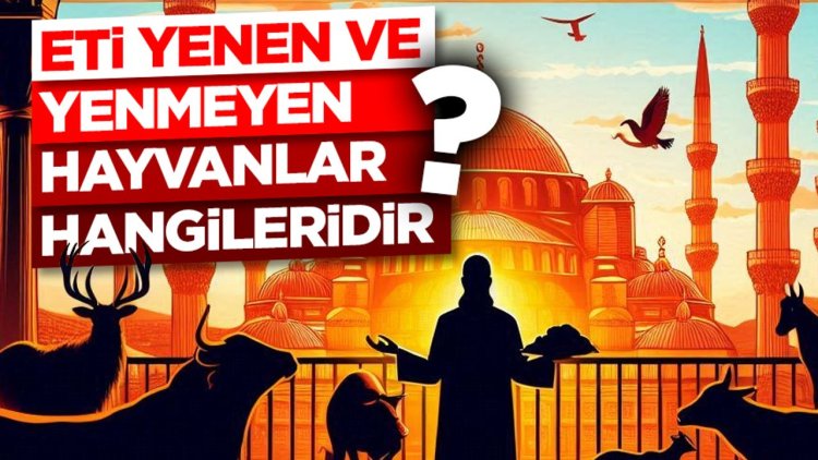 Eti yenen ve yenmeyen hayvanlar hangileridir?