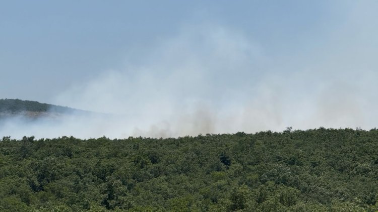 Bursa'da çıkan orman yangınına müdahale ediliyor