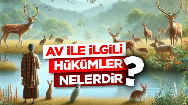 Av ile ilgili hükümler nelerdir?