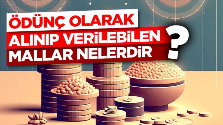 Ödünç olarak alınıp verilebilen mallar nelerdir?