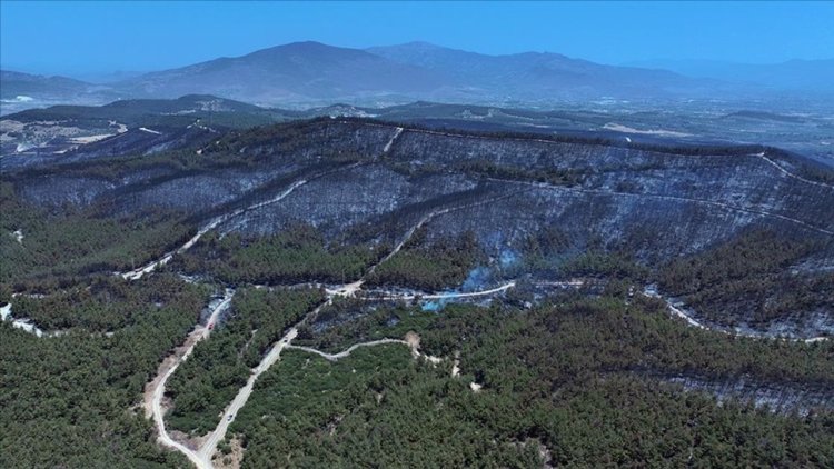 İzmir'de yanan orman alanı havadan görüntülendi