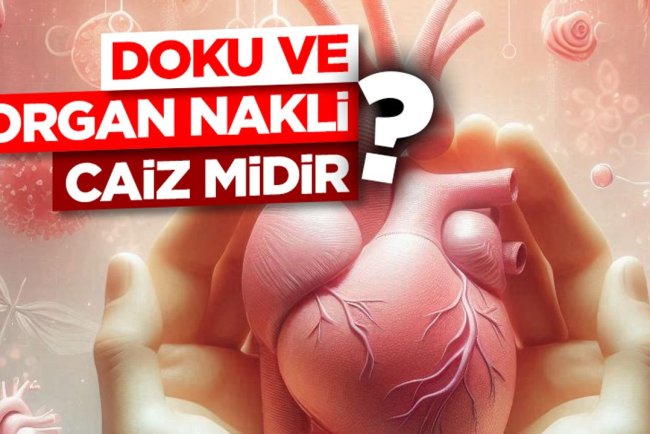 Doku ve Organ Nakli Caiz Midir?