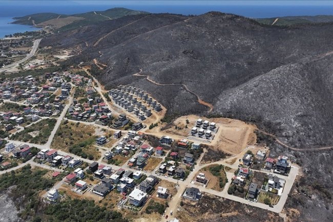 İzmir ve Bilecik'in orman yangınından etkilenen ilçeleri "Genel Hayata Etkili Afet Bölgesi" ilan edildi