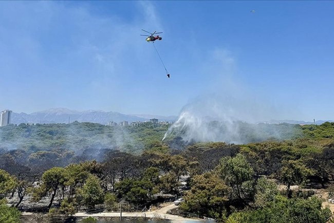 Antalya'da son bir haftada çıkan 37 orman yangınında 52 hektarlık alan zarar gördü