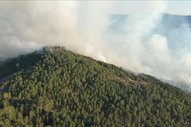Balıkesir'de çıkan orman yangınına müdahale sürüyor