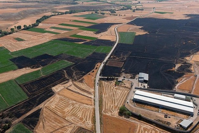 Kütahya'da yangın çıkan yaklaşık 800 dekar ekili alan zarar gördü