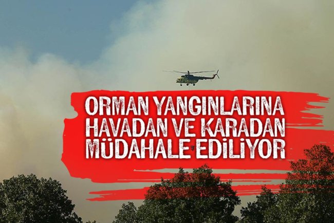 Uşak'taki orman yangınına müdahale ediliyor