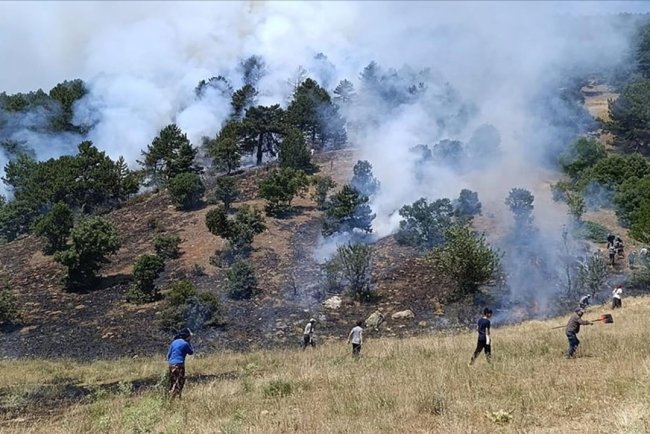 Konya'da çıkan orman yangınına müdahale ediliyor