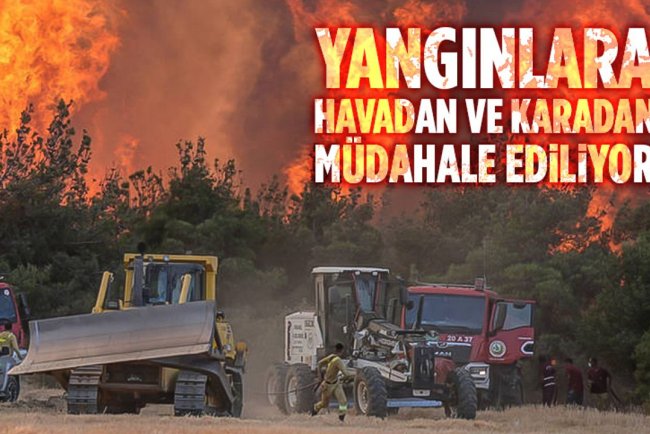 Ormanlık alanlarda çıkan yangınlara havadan ve karadan müdahale ediliyor
