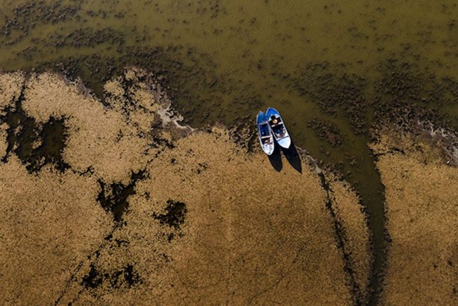 Dünya genelinde sulak alan kaybı, 2050'ye kadar 39 trilyon dolarlık ekonomik zarara neden olabilir