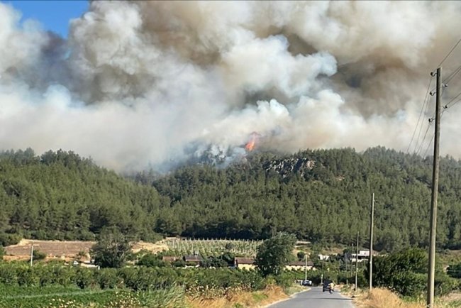 Sakarya'da ormanlık alanda çıkan yangına müdahale ediliyor
