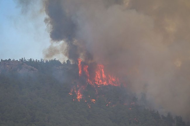 Sakarya'da ormanlık alanda çıkan yangın Bilecik tarafına sıçradı