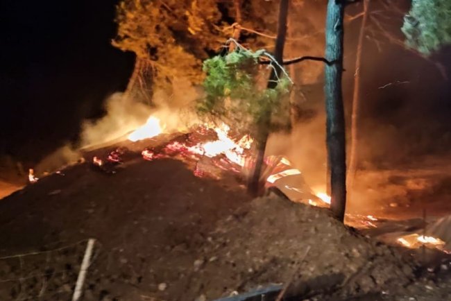 Bilecik'te çiftlikte başlayıp ormanlık alana sıçrayan yangın kontrol altına alındı