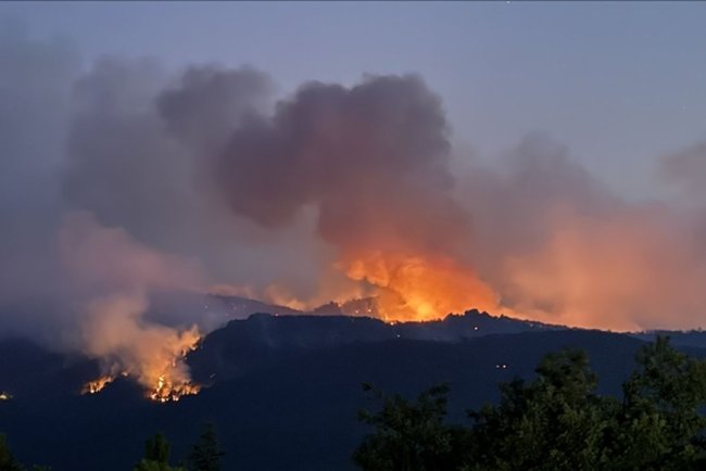 Eskişehir'de ormanlık alanda çıkan yangına müdahale sürüyor