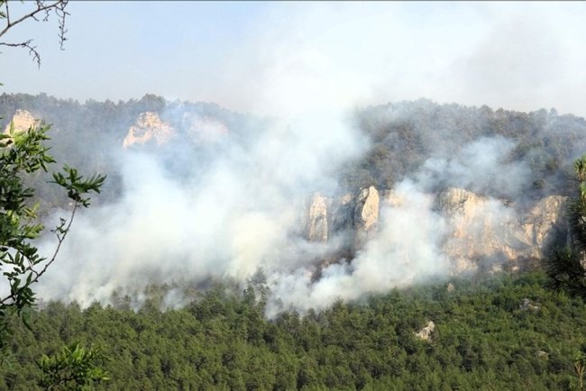 Karabük ve Antalya'daki orman yangınlarına müdahale ediliyor