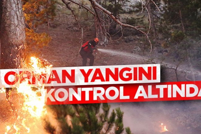 Bakan Yumaklı: 7 orman yangını kontrol altına alındı