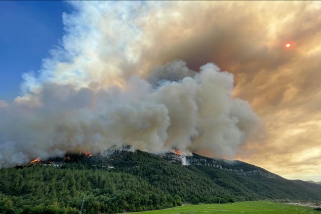 İletişim Başkanlığı orman yangınlarına ilişkin rehber hazırladı