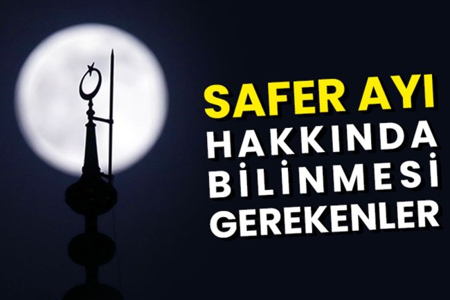 Safer Ayı hakkında bilinmesi gerekenler