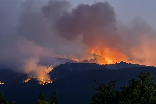 DMM, "Orman Yangınları ile İlgili İddialar ve Gerçekler" bülteni hazırladı