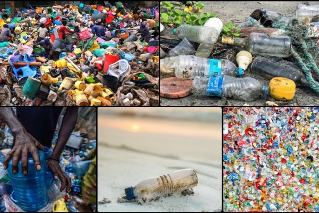 Sıfır Atık Vakfı, tek kullanımlık plastiklerin olumsuz etkilerini raporladı