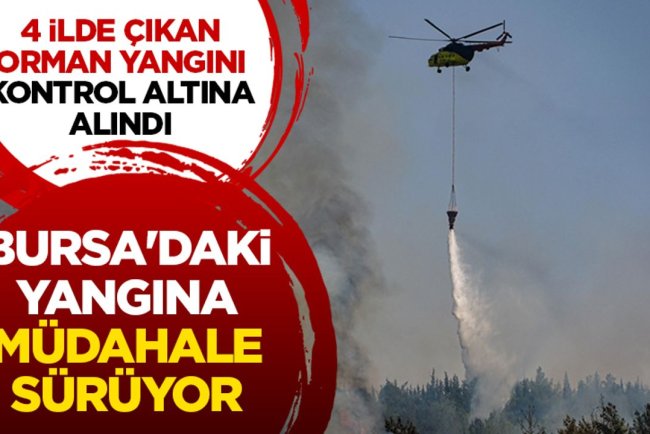 4 ilde çıkan orman yangını kontrol altına alındı, Bursa'daki yangına müdahale sürüyor