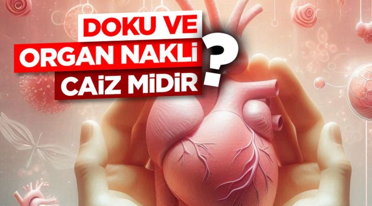 Doku ve Organ Nakli Caiz Midir?