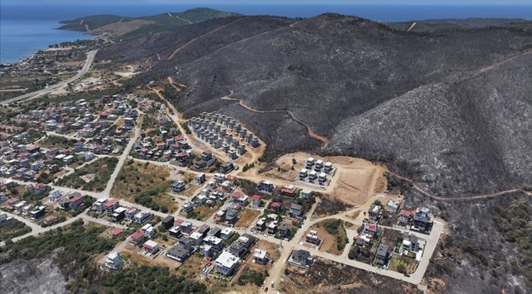 İzmir ve Bilecik'in orman yangınından etkilenen ilçeleri "Genel Hayata Etkili Afet Bölgesi" ilan edildi