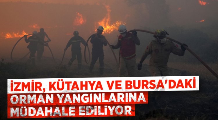 İzmir, Kütahya ve Bursa'daki orman yangınlarına müdahale ediliyor