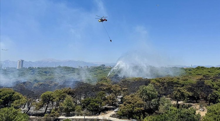 Antalya'da son bir haftada çıkan 37 orman yangınında 52 hektarlık alan zarar gördü