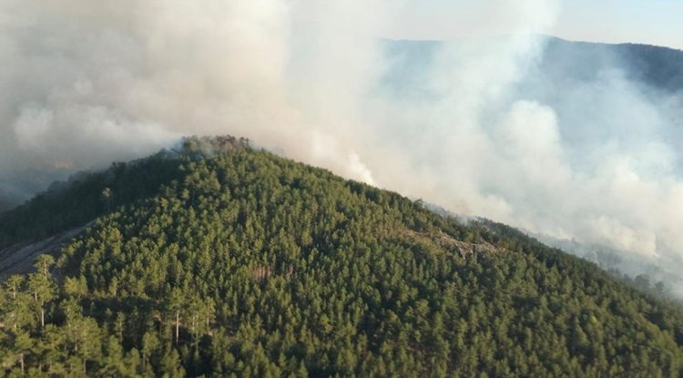 Balıkesir'de çıkan orman yangınına müdahale sürüyor