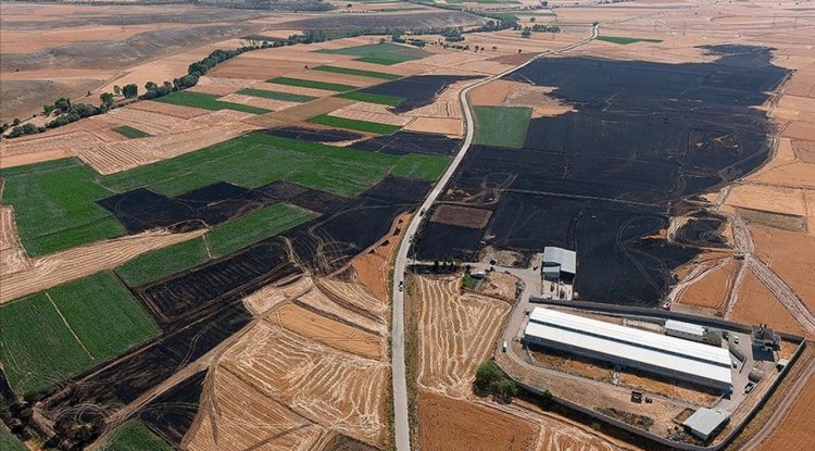 Kütahya'da yangın çıkan yaklaşık 800 dekar ekili alan zarar gördü