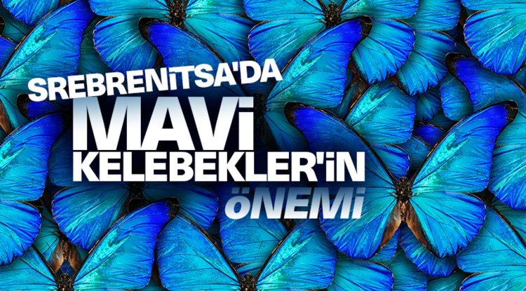 Srebrenitsa'da Mavi Kelebekler'in önemi