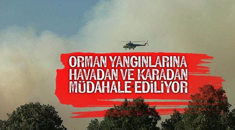 Uşak'taki orman yangınına müdahale ediliyor