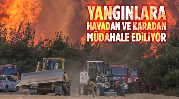 Ormanlık alanlarda çıkan yangınlara havadan ve karadan müdahale ediliyor