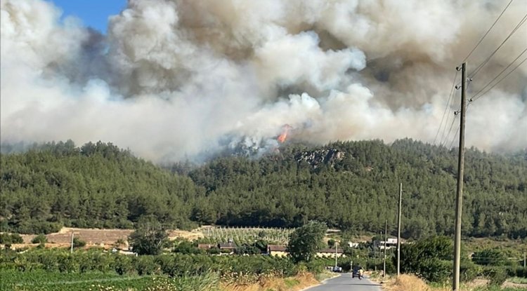 Sakarya'da ormanlık alanda çıkan yangına müdahale ediliyor