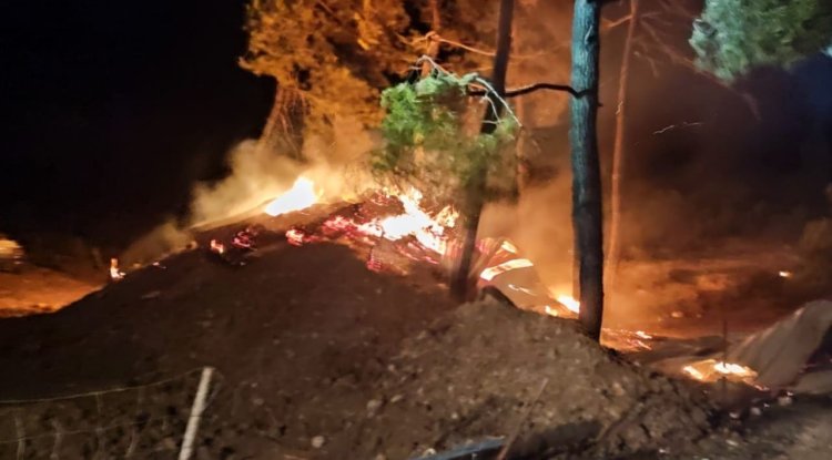 Bilecik'te çiftlikte başlayıp ormanlık alana sıçrayan yangın kontrol altına alındı