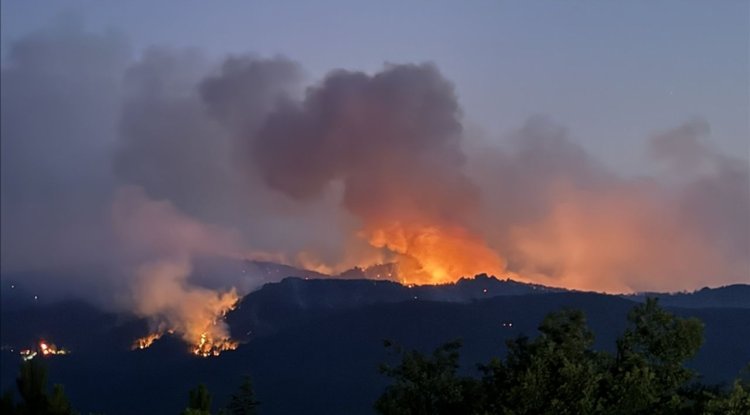 Eskişehir'de ormanlık alanda çıkan yangına müdahale sürüyor