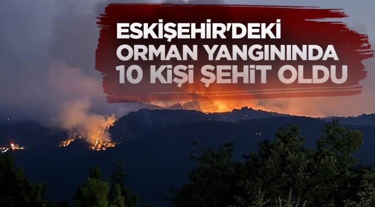 Eskişehir'deki orman yangınında 10 kişi şehit oldu